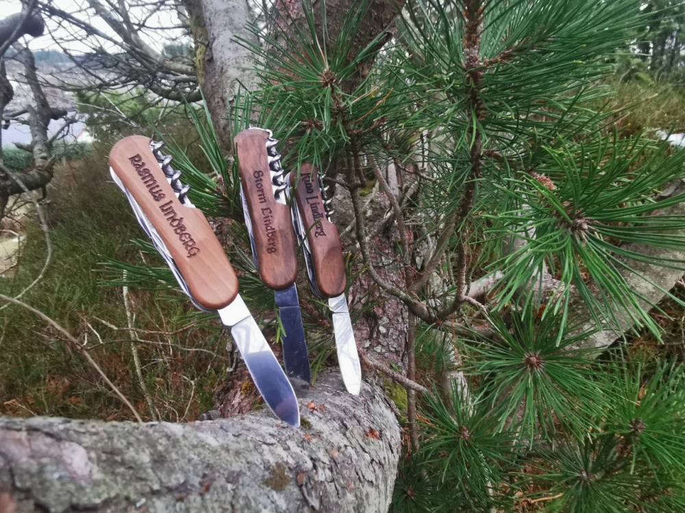 Evolution shop wood 14