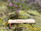Nova, 12 thumbnail