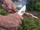 NYHET!! Intorduksjonspris NÅ:  Fjelltind Romsdalen Slirekniv - Rask levering med gravering thumbnail