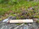 Ulrik, 13 thumbnail