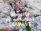 Ide bank og inspirasjon  thumbnail