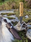 Turkniv - FJELLREV - Fjellbjørk - Rask levering med gravering thumbnail