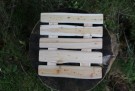 Kjelebrikke i nordisk einer - Kvadrat Stor 22,5 cm - Rask levering med gravering thumbnail