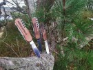 Victorinox Evolution Wood 14 - Rask levering med gravering thumbnail
