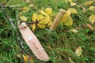 BARN Speiderkniv , Morakniv classic scout 39 - Gravering thumbnail