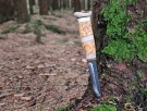 Turkniv - RYPE - Fjellbjørk - rask levering med gravering thumbnail