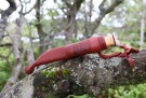 Gavepakke / Julegave / Skog - Rask levering med gravering thumbnail