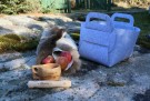 Gavepakke PAUSE - Rask levering med Gravering thumbnail