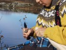NYHET! Fjelltind GLITTERTIND Speiderkniv - Rask levering med gravering thumbnail