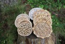 Kjelebrikke i Einer - 17,5cm - Rask levering med gravering thumbnail