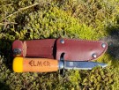 Elmer, 16 thumbnail