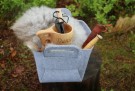 Gavepakke / Julegave / Skog - Rask levering med gravering thumbnail