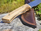 Gjennomgående blad. thumbnail