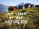 Ide bank og inspirasjon  thumbnail