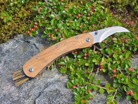 BRUSLETTO  Vedalen foldbar Soppkniv med børste - Rask levering med gravering.