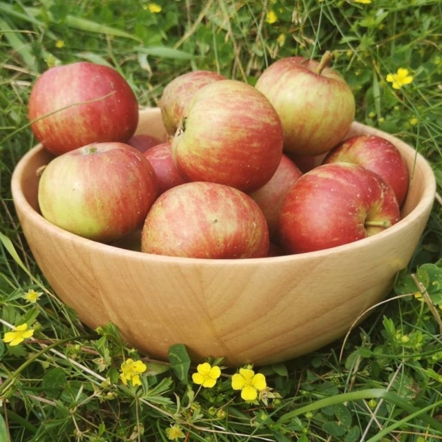 Bollen måler 1 liter