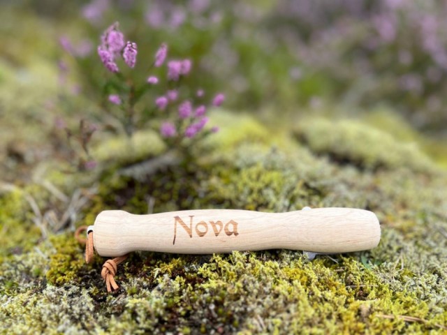 Nova, 12