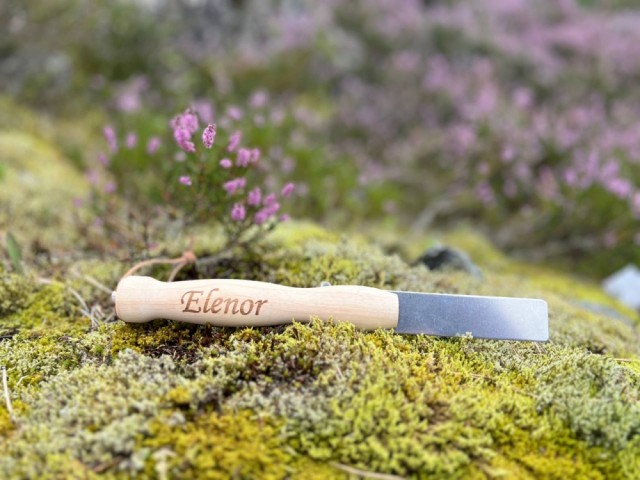Elinor, 12