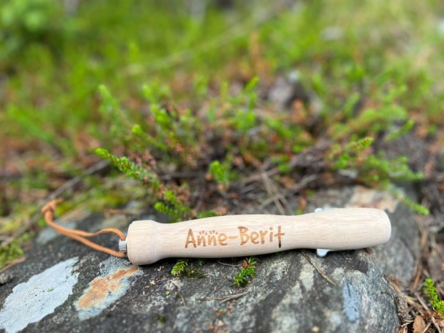 Anne-berit, 13