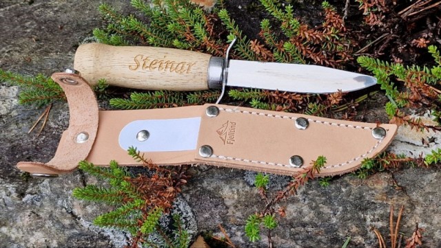Steinar, 11
