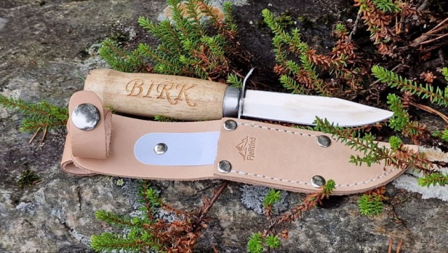 Birk,11