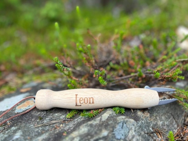 Leon, 13