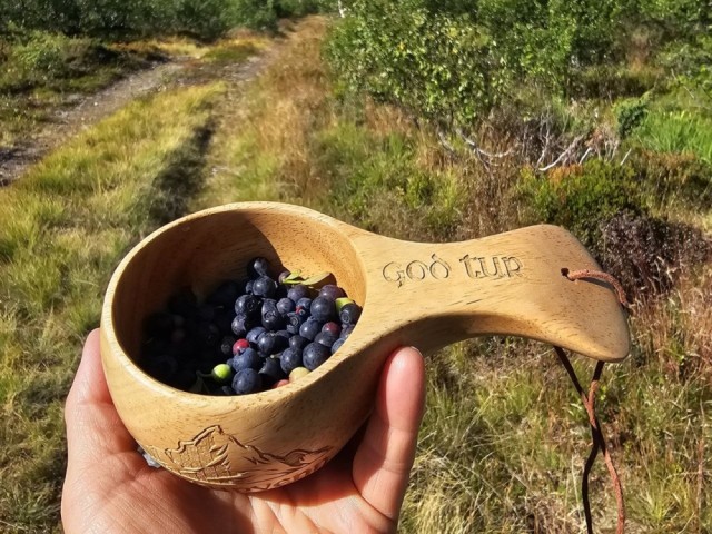 Gravering håndtak. Gøy å ha med på tur som plukkekopp