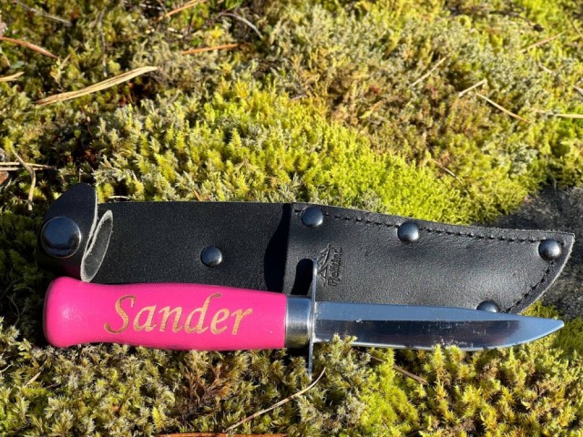 Sander, 16