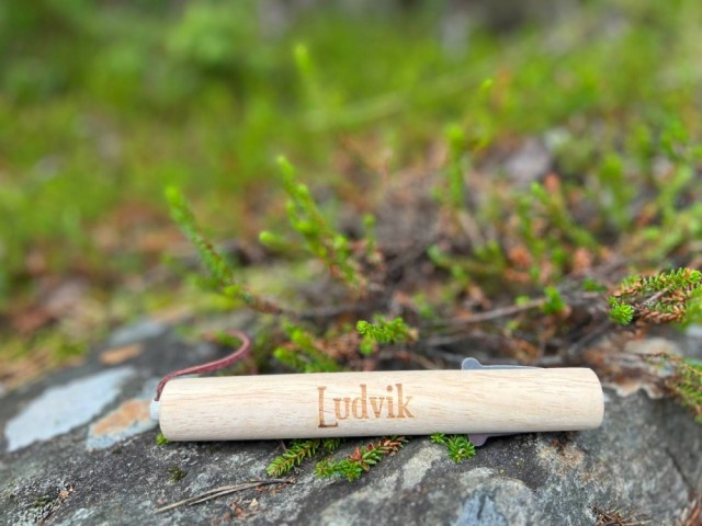 Ludvik, 13
