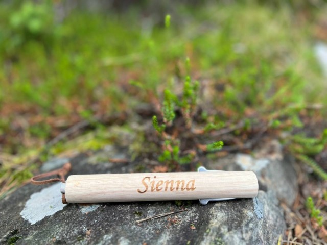 Sienna, 13
