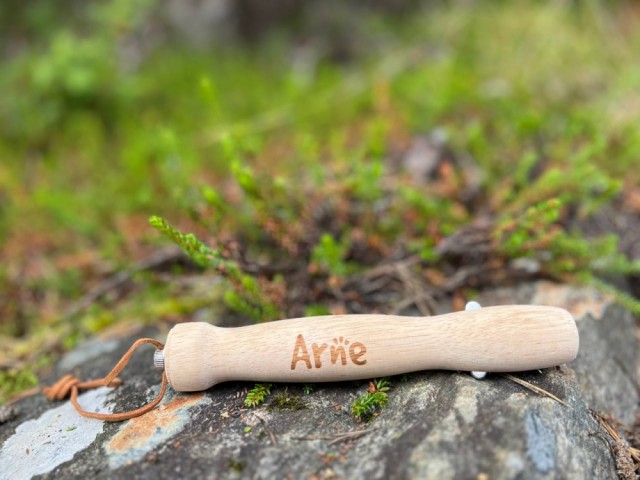 Arne. 13